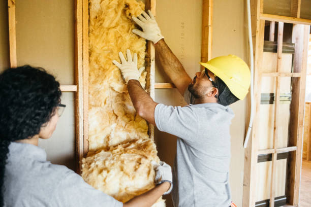 Best Reflective Insulation  in Weedpatch, CA