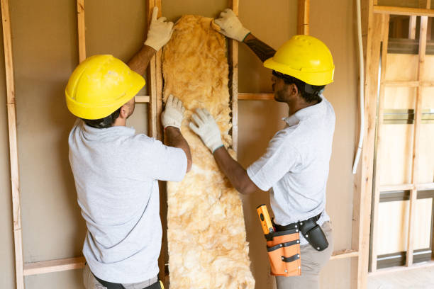 Best Attic Insulation Installation  in Weedpatch, CA