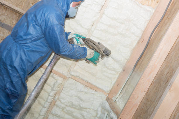 Best Crawl Space Insulation  in Weedpatch, CA